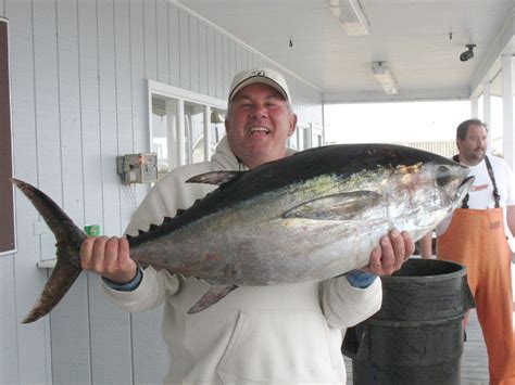 world record blackfin tuna  Damn Good